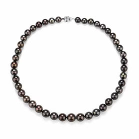 Tahitian Pearl