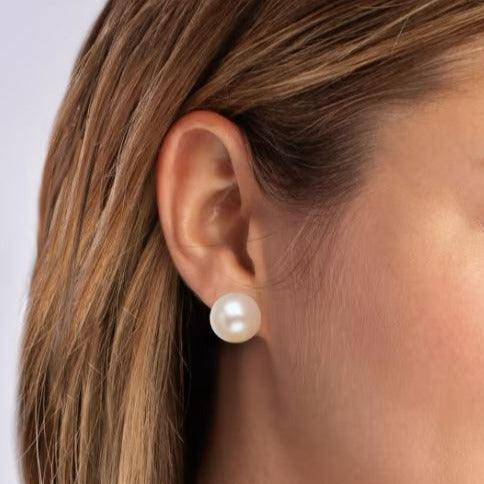 Golden Button Freshwater Pearl Stud Earrings